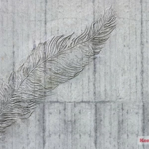 169-DV3 Фотообои Komar Betonfeder 2.5х3 м