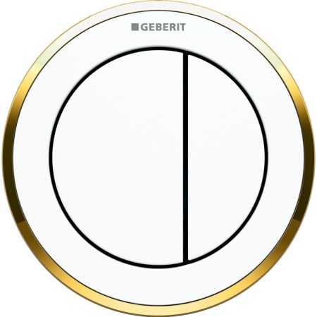 116.055.KN.1 Пневмоклавиша смыва Geberit дистанционная тип 10, двойной смыв, скрытое размещение Geberit  - Вид №5