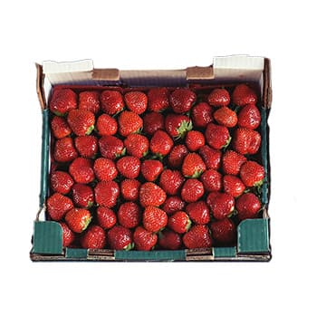 Клубника Голландия в ящике ~4 кг Santreyd 28404 - Вид №1