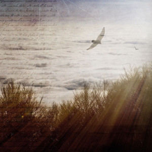 F124C/1137X98 Картина Муралес 1137 Adriani e Rossi