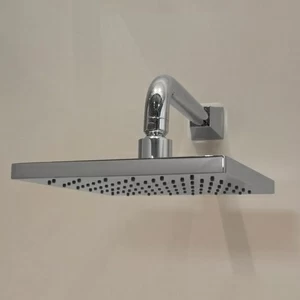 Душевая лейка с кронштейном 2TIME240CR  Devon Devon TIME