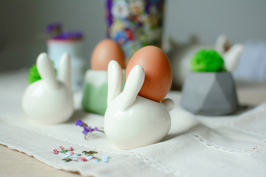 ECZ-1-01 Набор для выращивания eco "зайчик" Экочеловеки  - Вид №2