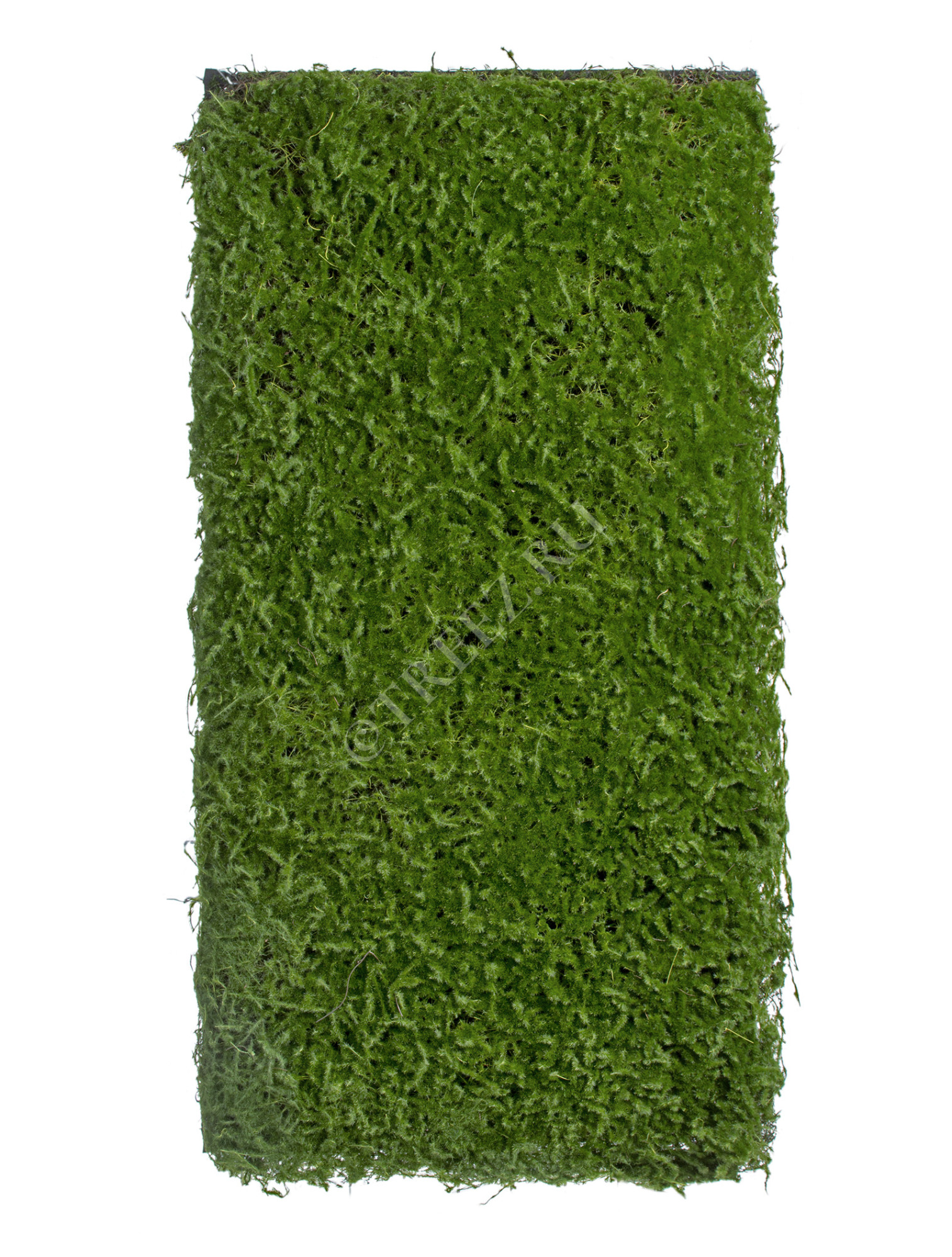 20.0818209M Мох Сфагнум (полотно) Цветочная коллекция 