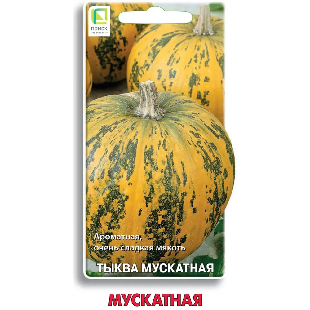 Семена фруктов Поиск тыква Мускатная 10 шт. 86217775 STLM-2168045 