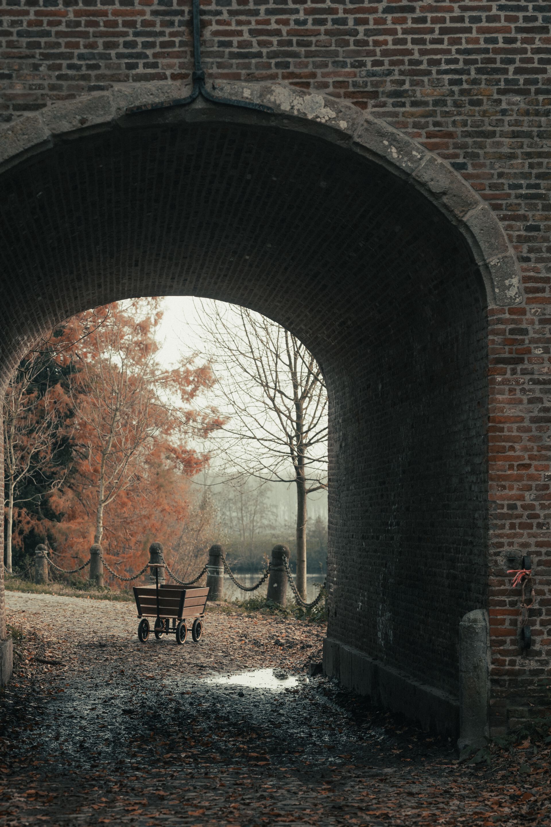 Садовая тележка TRADEWINDS THE PLANK WAGON ARCH-00043245 - Вид №19