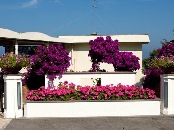 Плантатор из железобетона Maresca Prefabbricati Fioriera per spazi pubblici ARCH-00134275