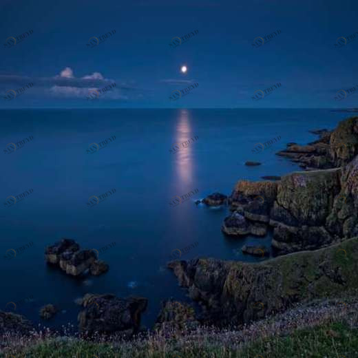 WP02207 Фотообои Verol Фотообои decoline 1х1 м