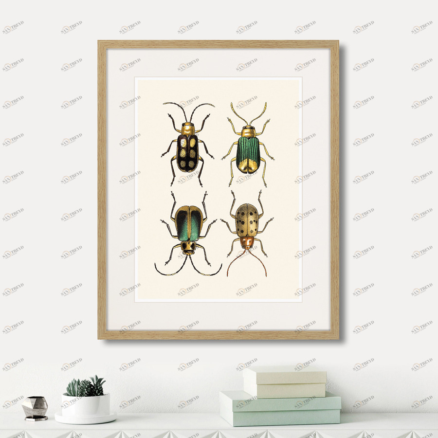 Картина: Assorted Beetles №8, 1735г. КАРТИНЫ В КВАРТИРУ  264415 Разноцветный 