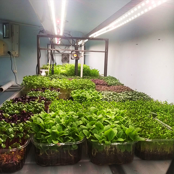 3543 Комплект Quantum line 115 см LAB.Space  - Вид №5