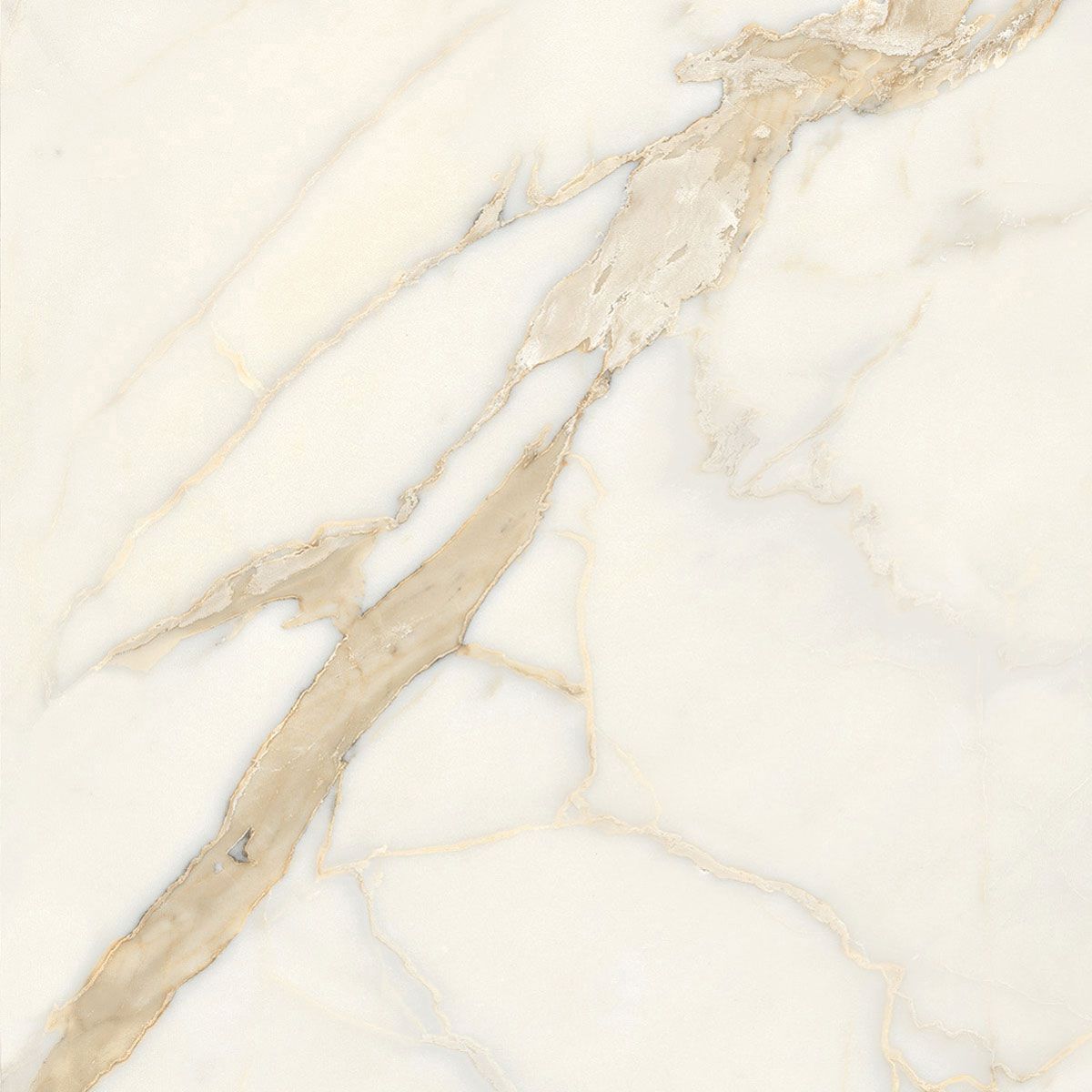 Пол / керамогранит с мраморным эффектом Italgraniti Marble Touch ARCH-00152884 - Вид №62