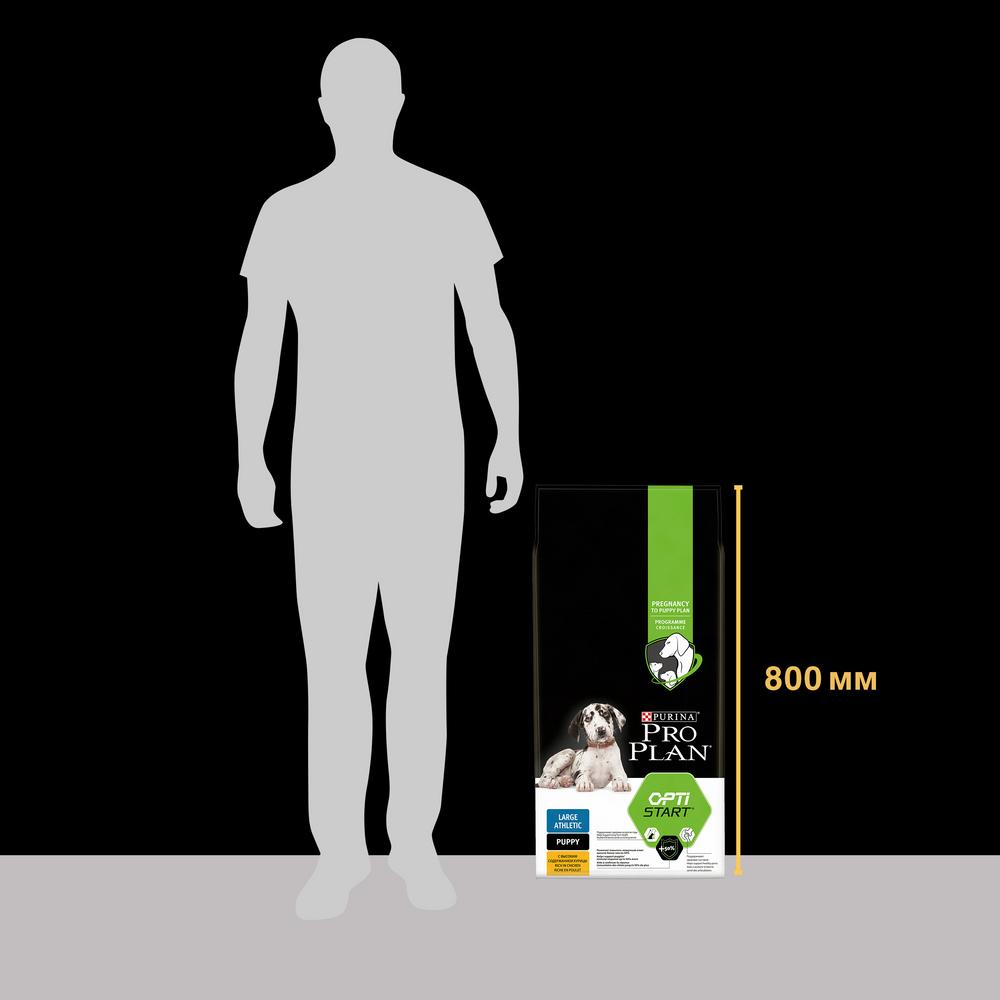 ПР0032632 Корм для щенков для крупных пород атлетического телосложения, курица сух. 12кг Pro Plan  - Вид №8
