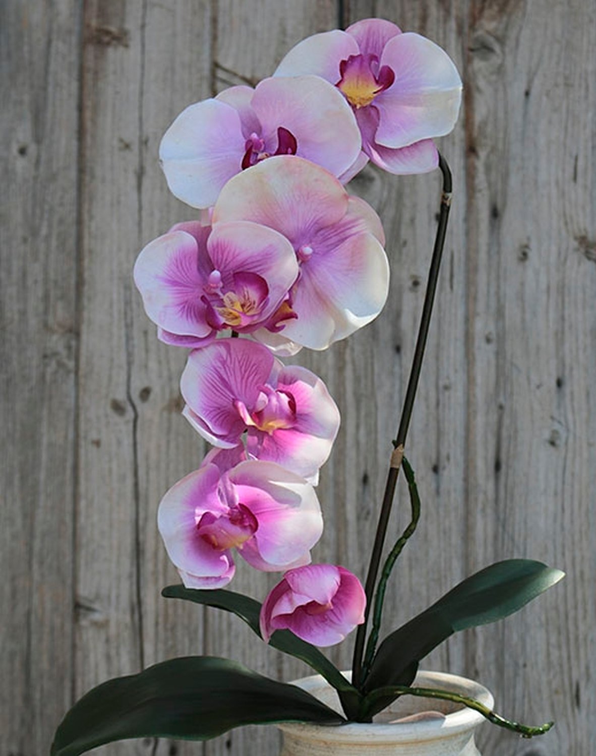 2526 220 a2 Искусственная орхидея Phalaenopsis, 73 см, real touch, светло-фиолетовый H-andreas 
