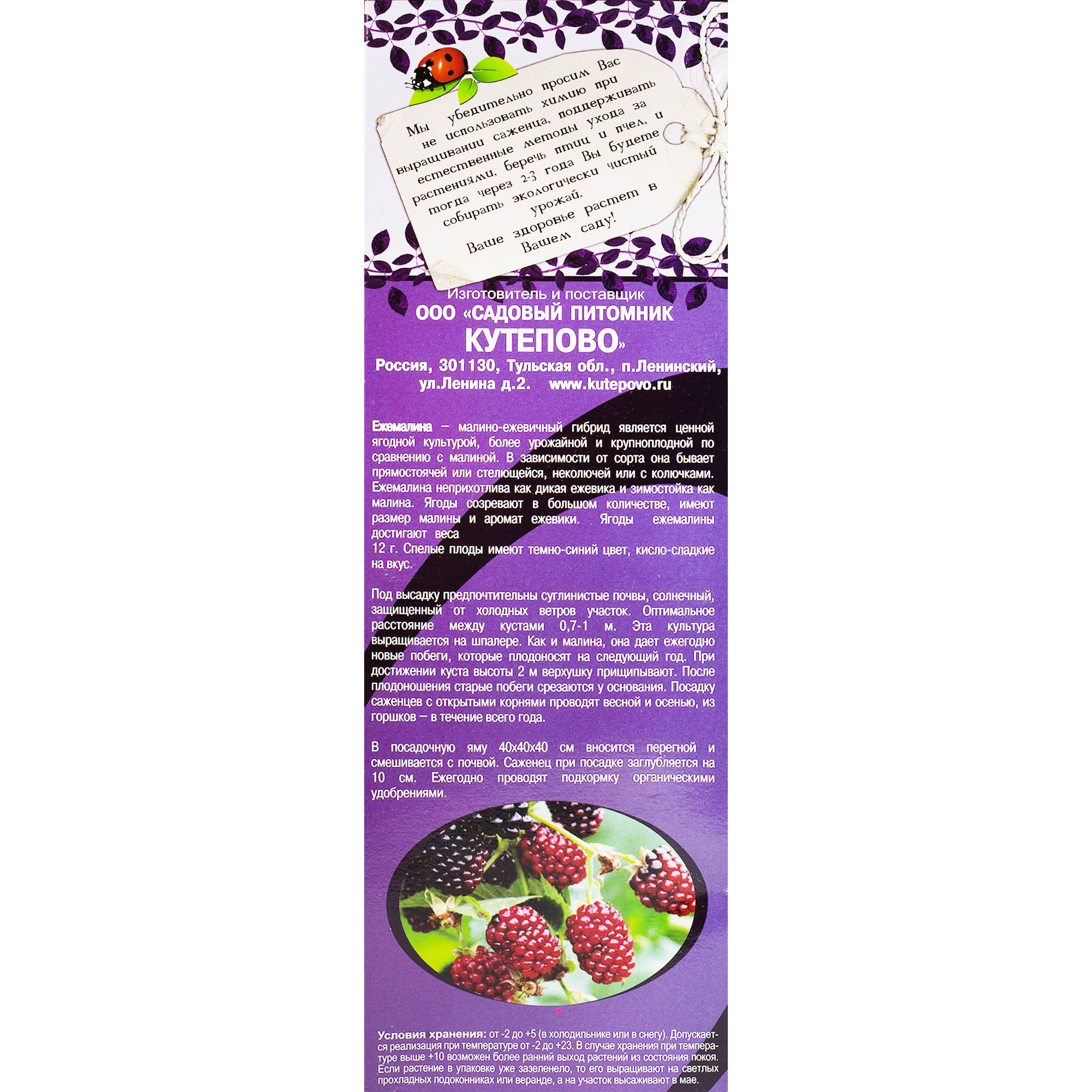 82155344 Ежемалина «Тайберри» в коробке Santreyd  - Вид №2