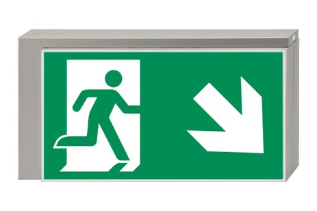 DST-886 Lisu pennant Daisalux Светильники аварийные Серебристо-Серый 