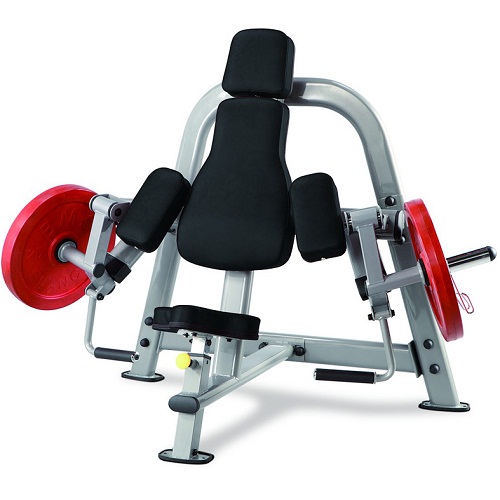 PLBC Steel flex plate load plbc бицепс Steel Flex Plate load  - Вид №1