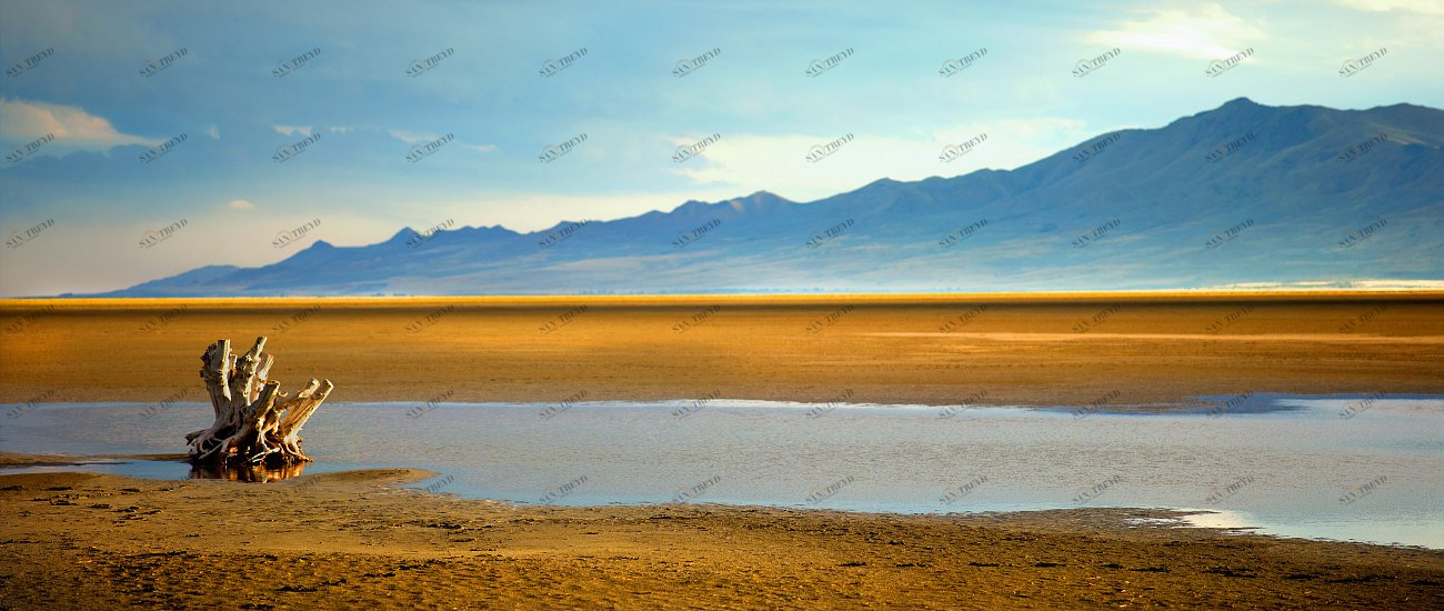 Панно на стену пластификация 60х25 см "Размышление" PANKOVSKY STUDIO ПЛАСТИФИКАЦИЯ 015886 Голубой;желтый;разноцветный 