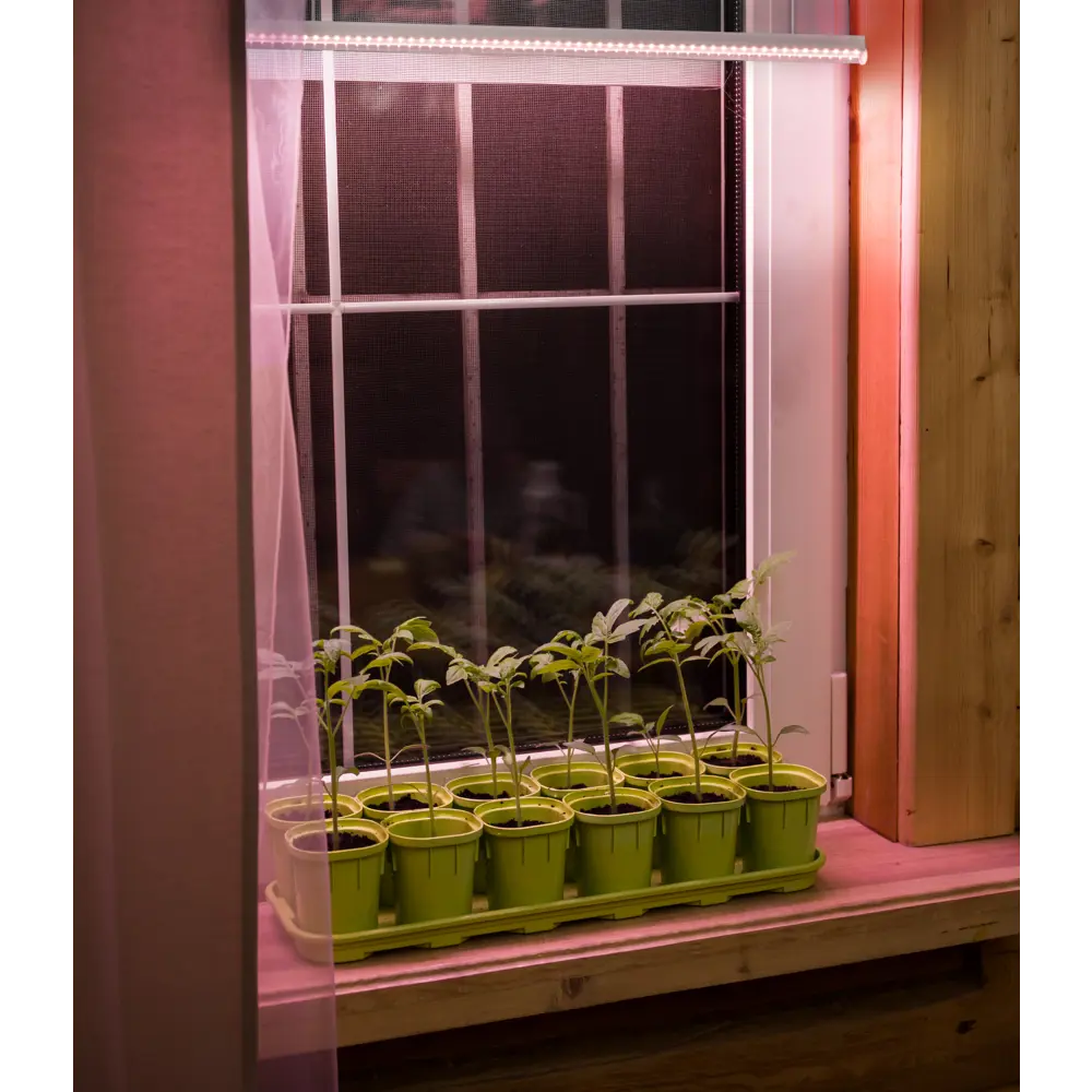 TDM ELECTRIC Линейный фитосветильник для растений с красно-синим спектром 84870131 STLM-0056559