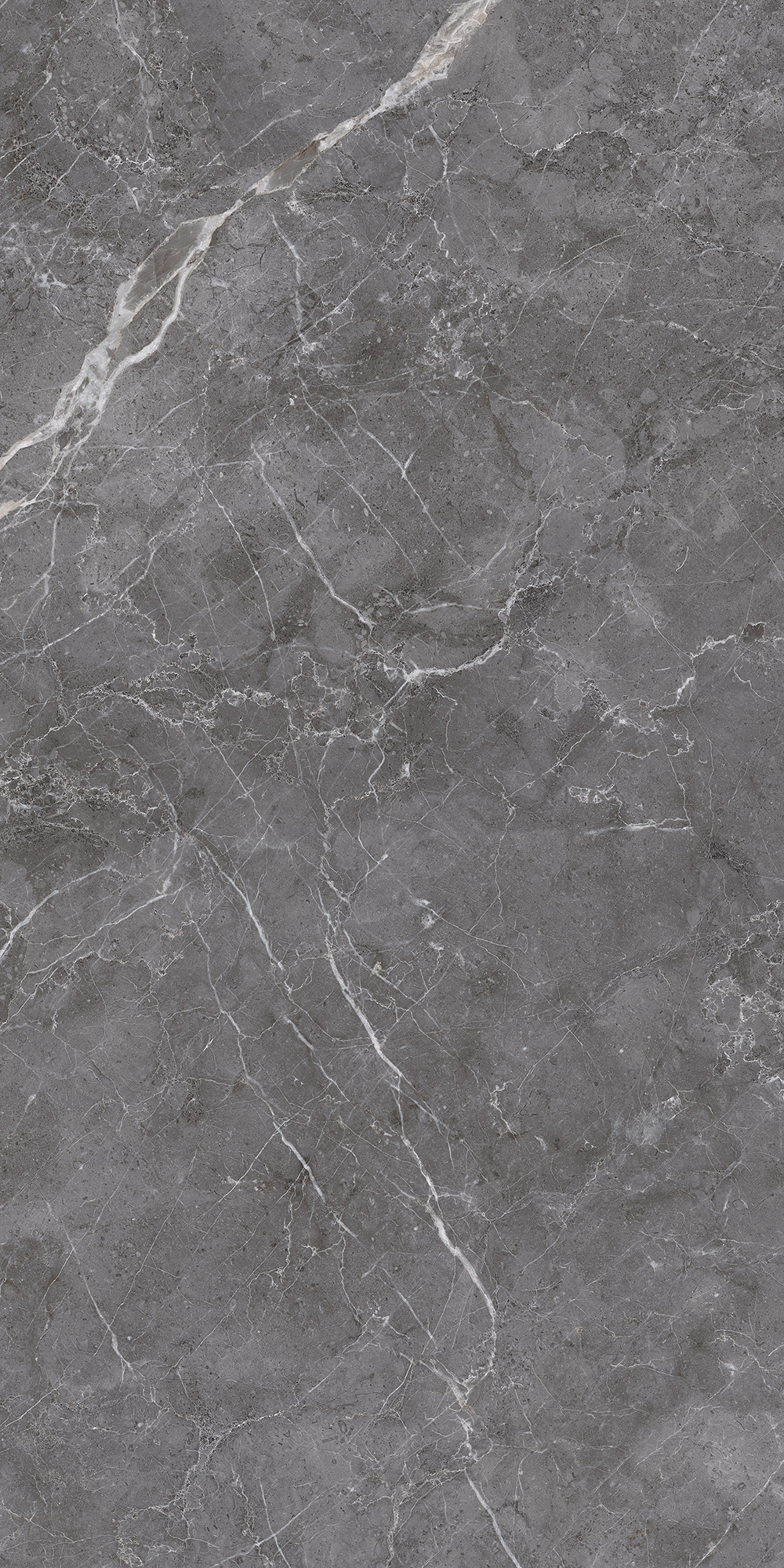 ESPERIA GRIGIO LAPPATO ARCADIA CERAMICA CL4003-A - Вид №3