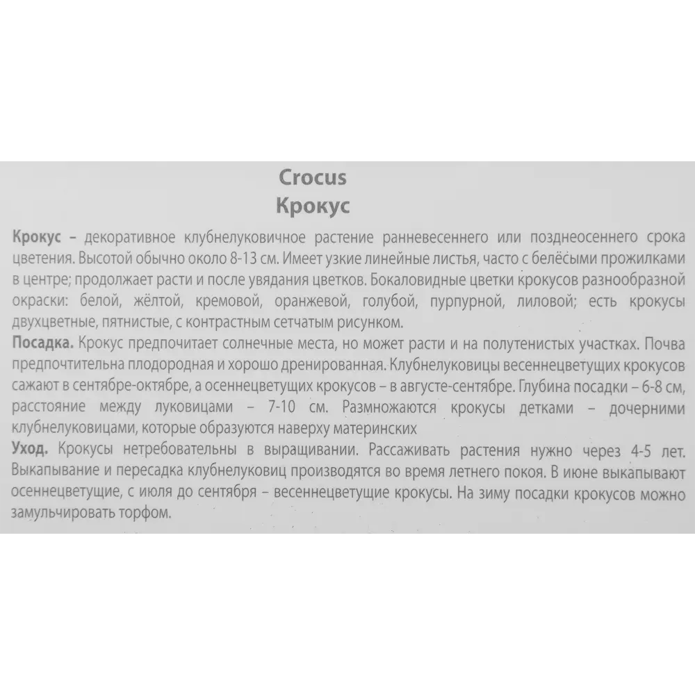Крокус Сноубантин ПОИСК - белоснежные луковицы для весеннего сада, 10 шт 85204695 STLM-1566787 - Вид №2