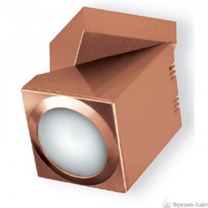 Fm Illuminacione 17013/1CBR COPPER светильник универсальный