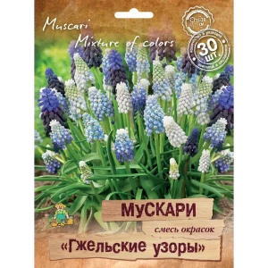 Мускари Гжельские узоры микс, 30 шт. 88659240 STLM-2058297