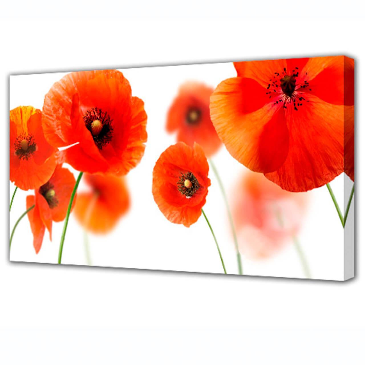 TL-H3018 Холст 100х150х3см Toplight Цветы