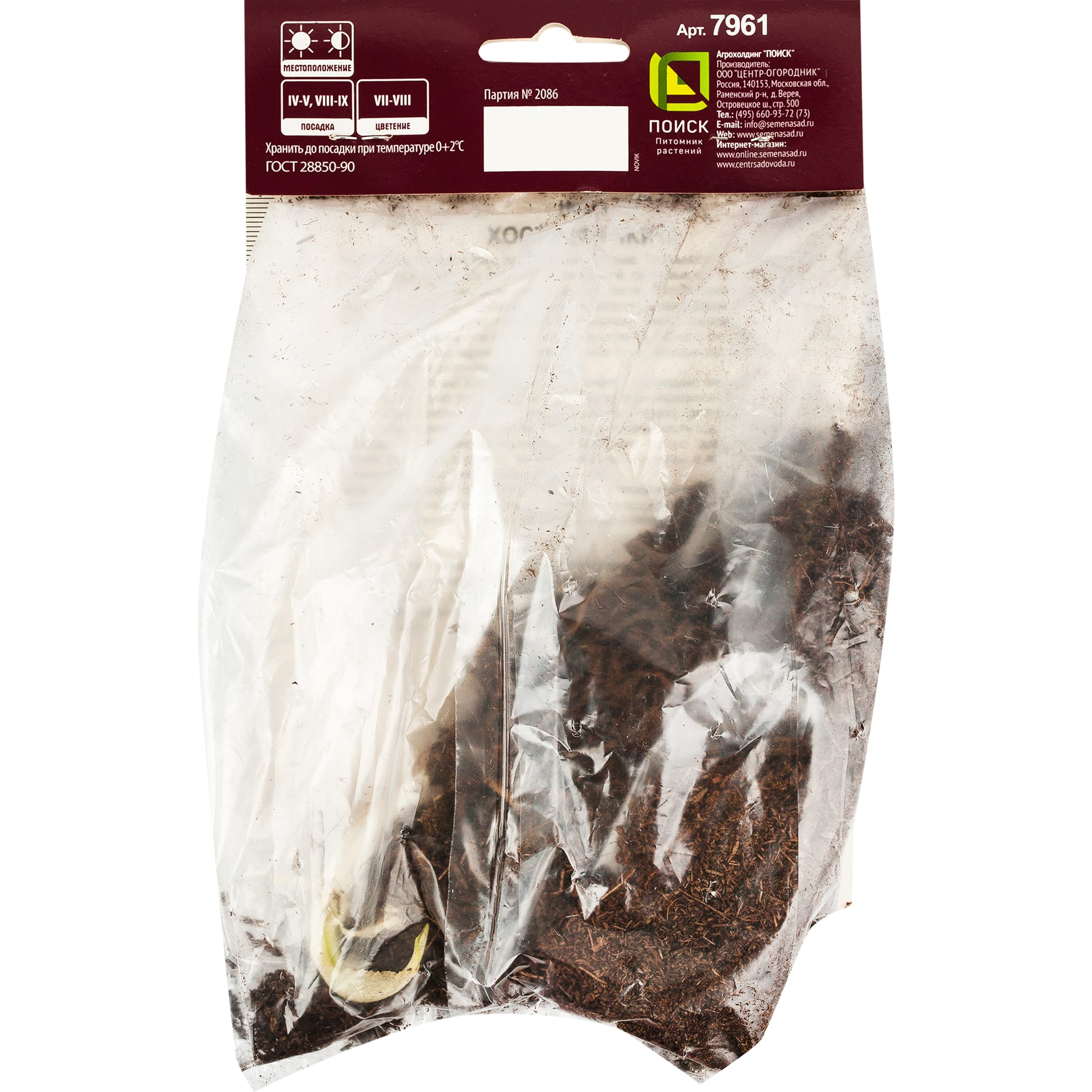 82118744 Хоста волнистая «Унивитата», 1 шт Santreyd  - Вид №2