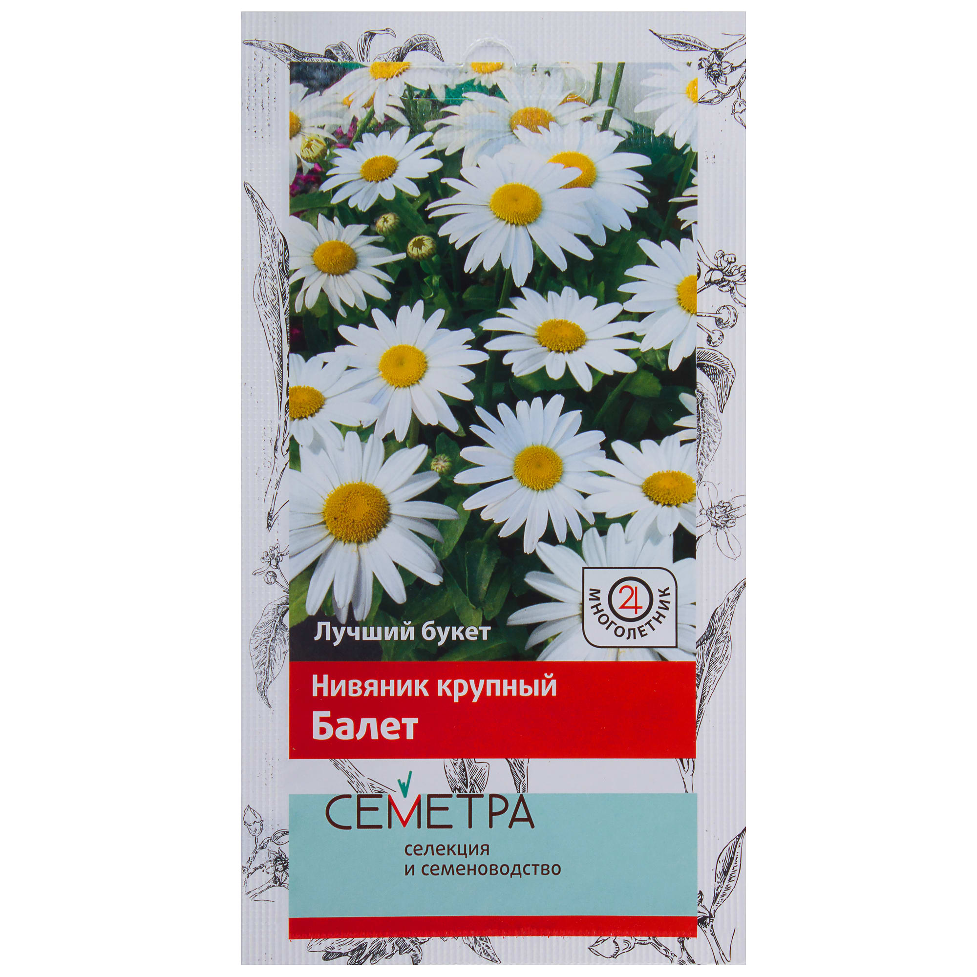 18359273 Нивяник крупный «Балет» Santreyd 