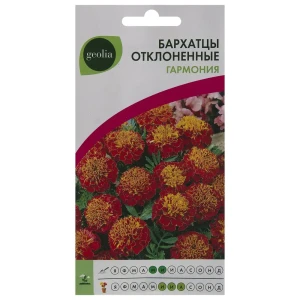 17585519 Бархатцы Geolia отклонённые Гармония STLM-0956217 STLM-0956217