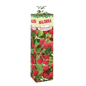 Малина Вольница в тубе 82559186 STLM-2045617