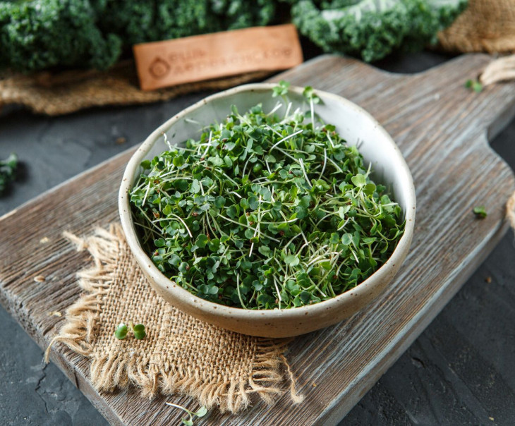 5759 Микрозелень рукколы Вкусляндия  - Вид №2