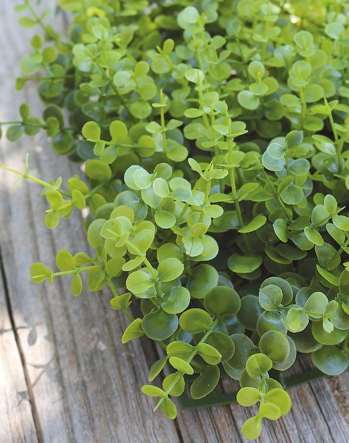 4889 883 a3 Пластиковый коврик из самшита, 35 x 35 см, зеленый H-andreas 