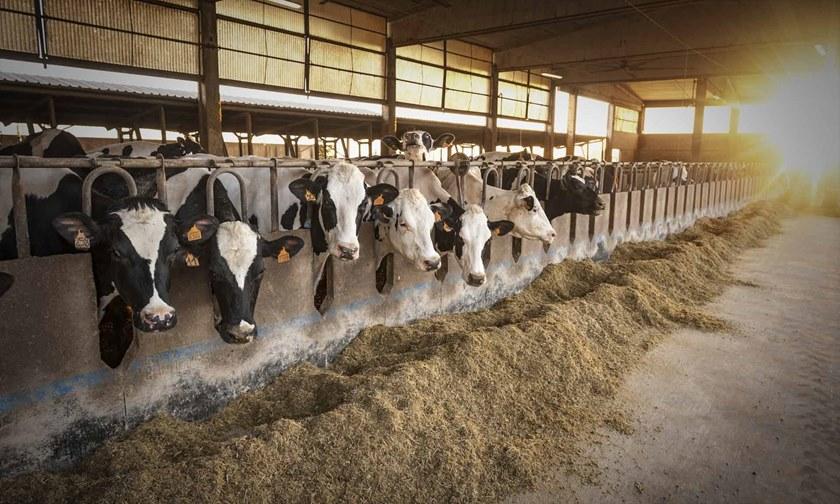 Gazebo Емкость для сбора сточных вод sun-id-1425334 - Вид №1