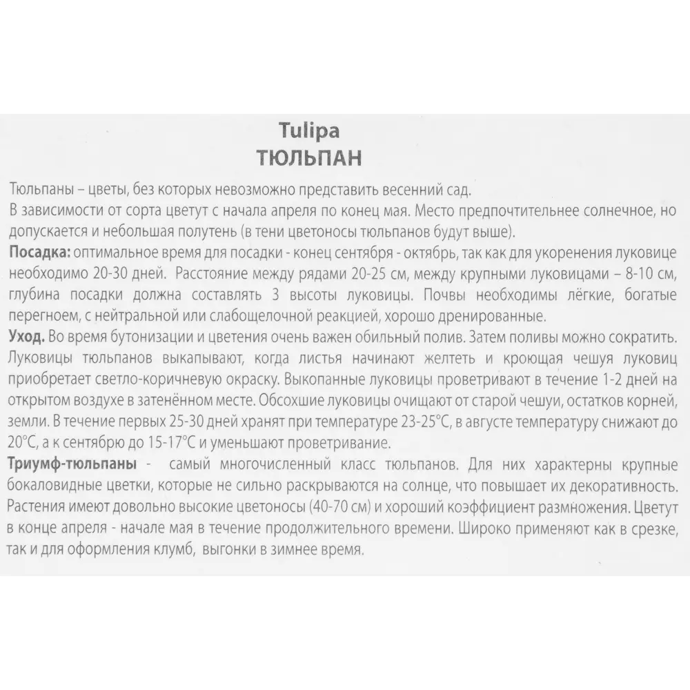 Тюльпан Триумф Фонтенбло, 3 шт 85205527 STLM-2027182 ПОИСК  - Вид №2