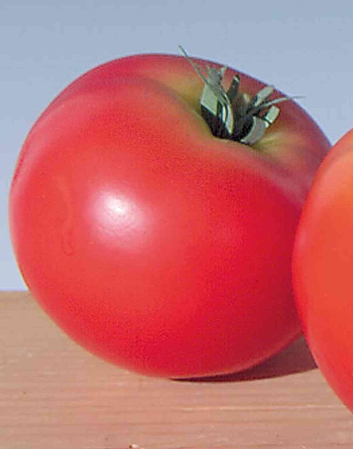 7261 444 a2 Искусственный помидор, 6 см, красный H-andreas 