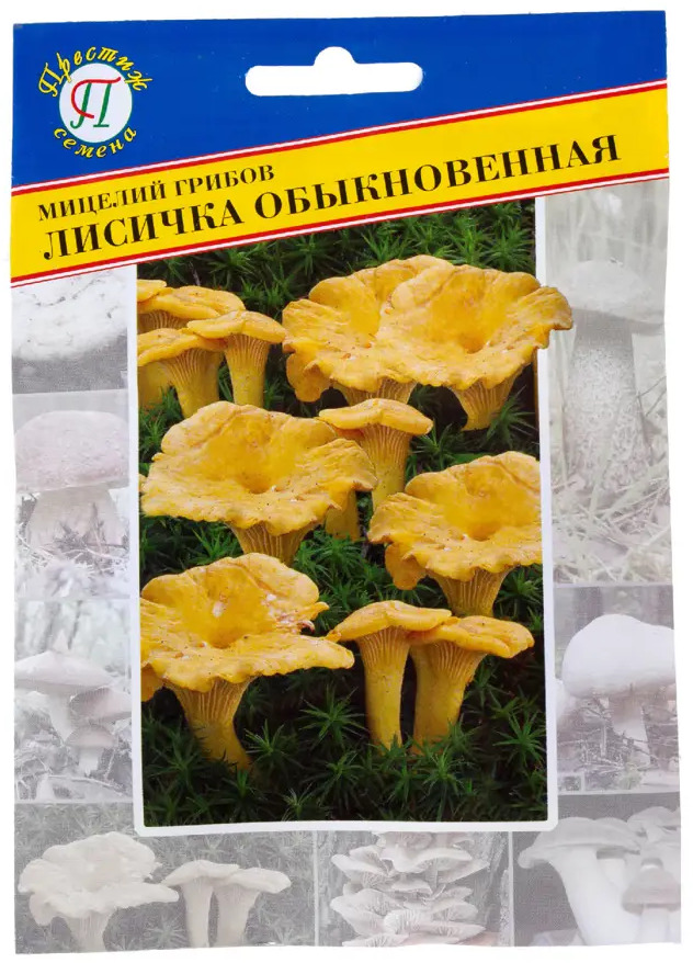 17301782 Семена Гриб лисичка обыкновенная STLM-0954520