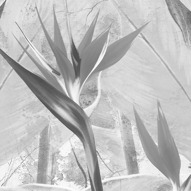 Стеновые панели - Артхаус