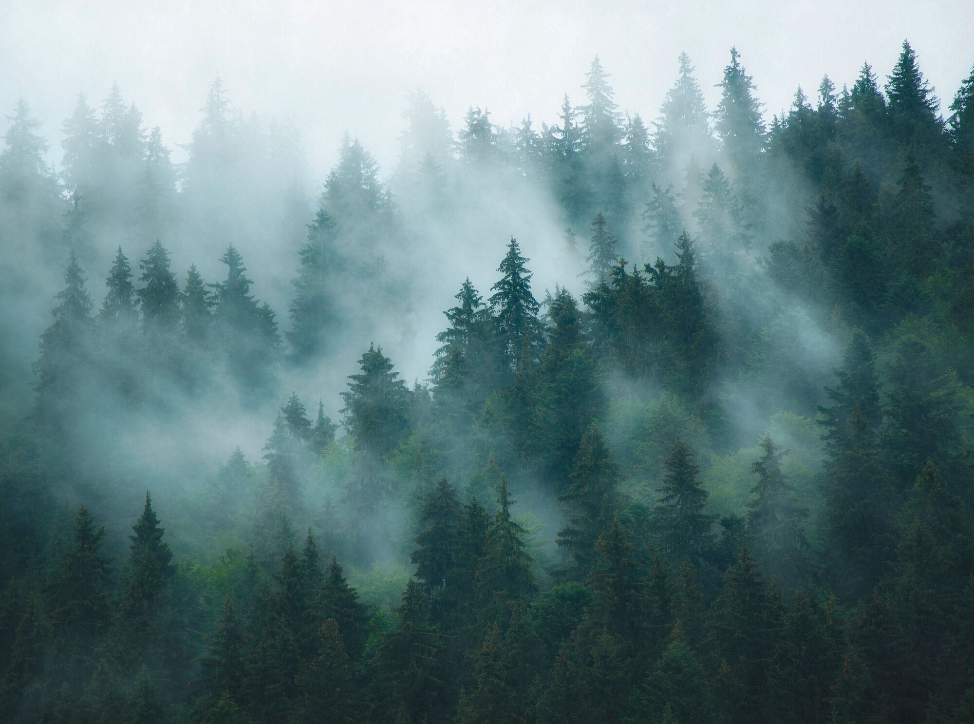 Нетканые обои с пейзажами Architects Paper The Wall III ARCH-00030091 - Вид №1