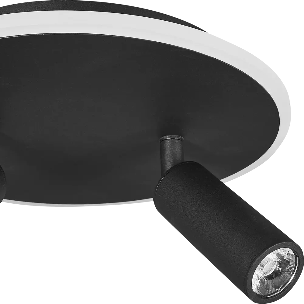 Светильник потолочный 20046SMA/02 цвет черный Escada STLM-2194135 - Вид №5