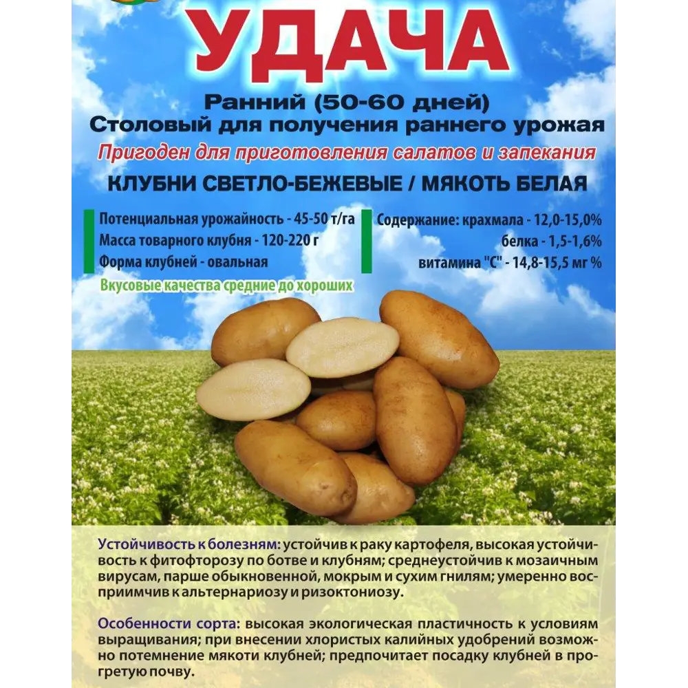 Картофель Удача Суперэлита 2 кг 89413147 STLM-2122164 Santreyd 
