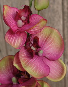 2398 208 a2 Искусственная орхидея Phalaenopsis, 92 см, real touch, фиолетово-зеленая H-andreas