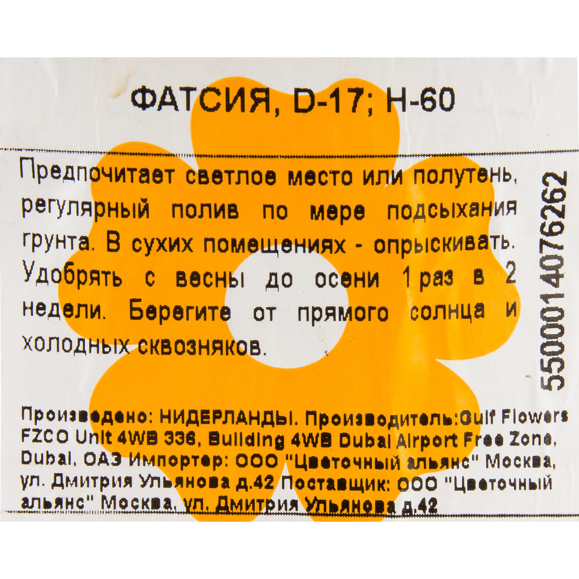 82850369 Фатсия 17х60 см Santreyd  - Вид №2