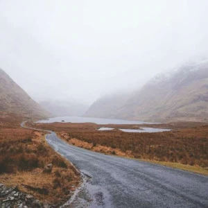 WP00485 Фотообои Verol Фотообои decoline 1х1 м