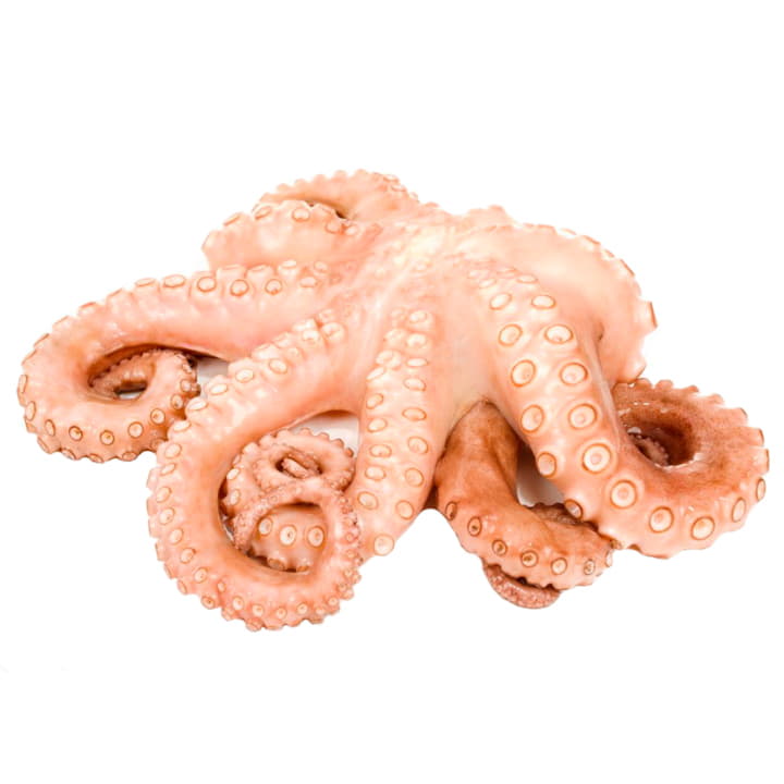 Осьминог свежемороженый 2 - 3 кг Santreyd 11789