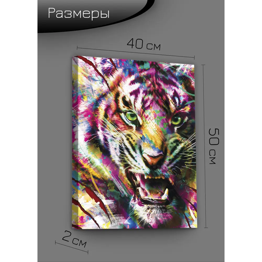 Картина на холсте Тигриная красота 40x50 см FBRUSH STLM-2103983 - Вид №7