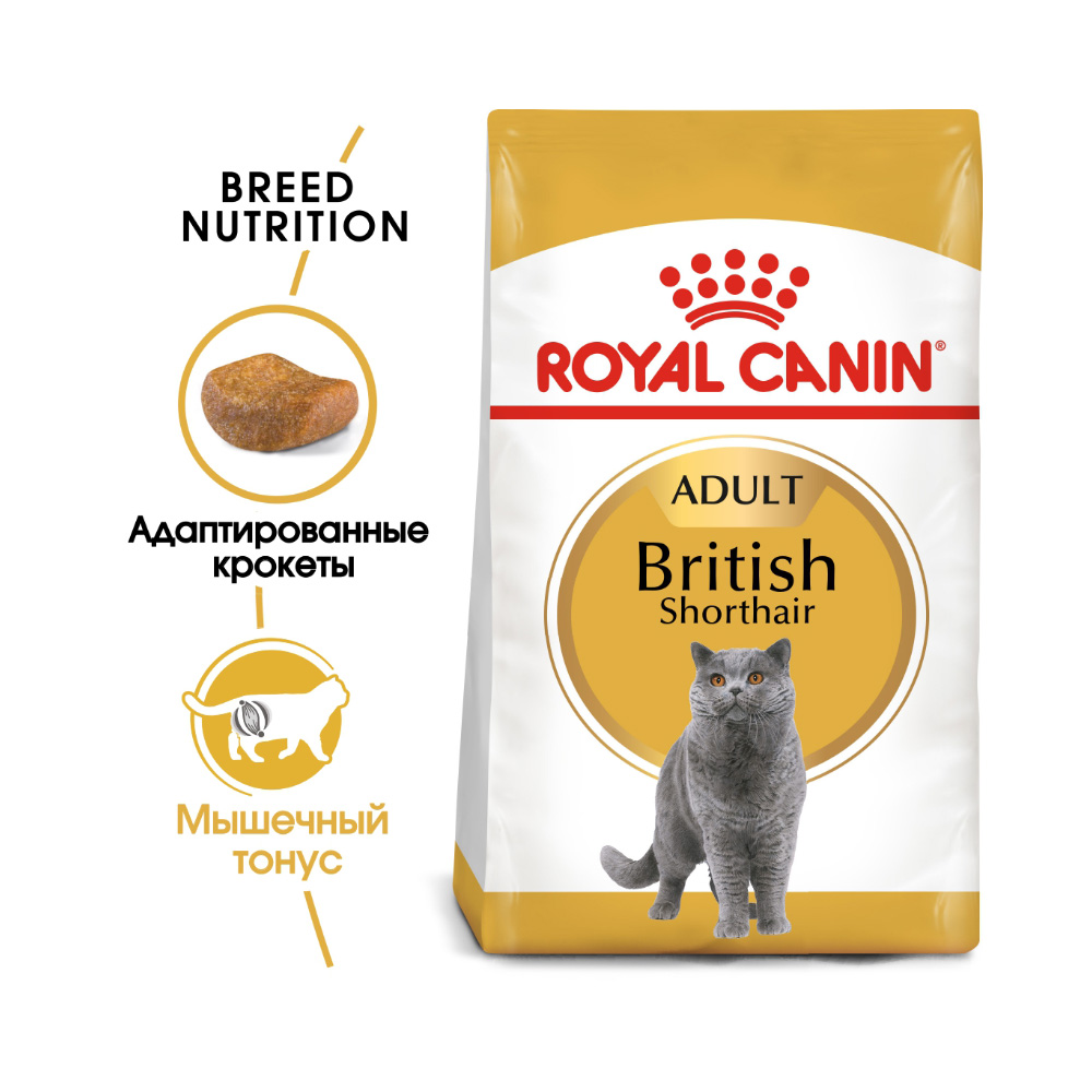 Т00008784 Корм для кошек British Shorthair Adult для британских короткошёрстных сух. 4кг ROYAL CANIN  - Вид №1