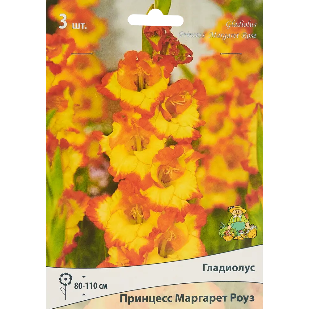Гладиолус крупноцветковый Принцесс Маргарет Роуз 3 шт. 83588515 STLM-2159271 ПОИСК 