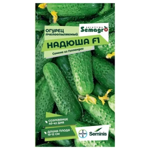 Семена овощей Seminis огурец Надюша F1 89403749 STLM-2007859