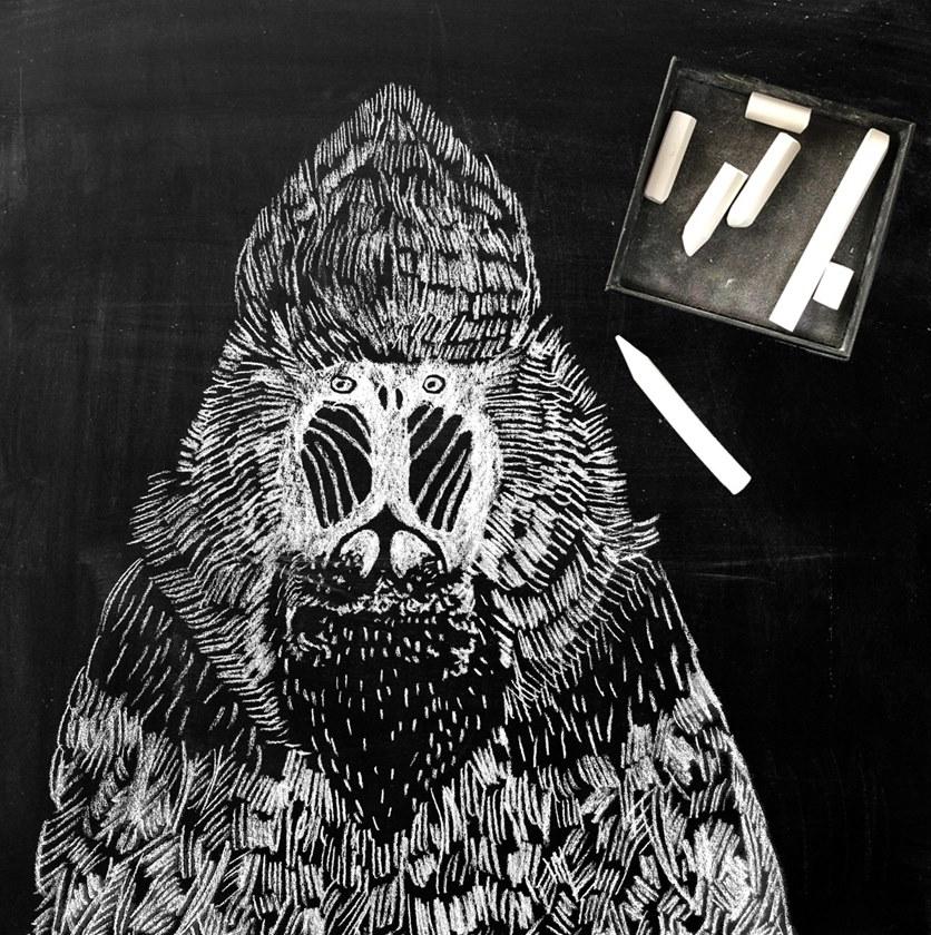 Groovy Magnets Магнитные виниловые обои Chalkboard sun-id-1438173 - Вид №12