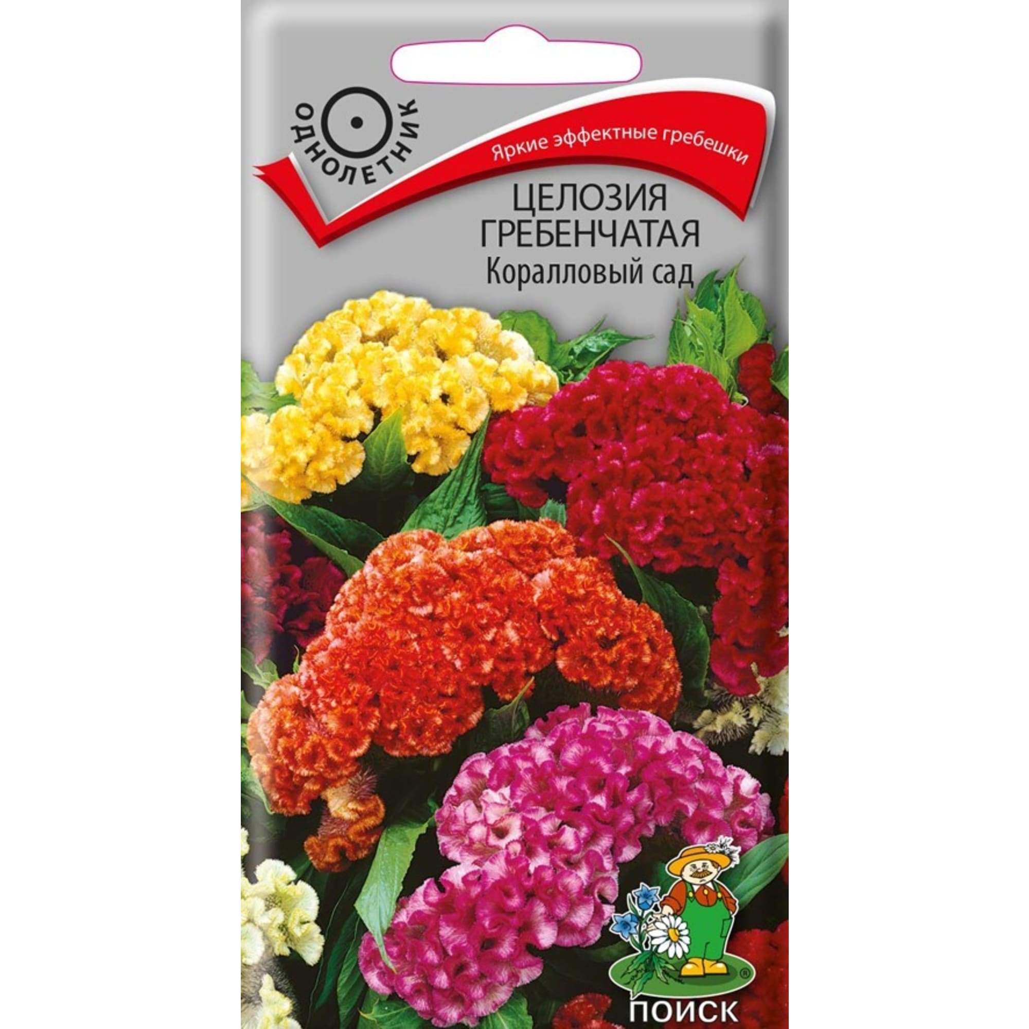 83227389 Семена Целозия Гребенчатая «Коралловый сад» Santreyd 